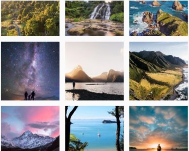 New Zealand Instagram - Mimulus