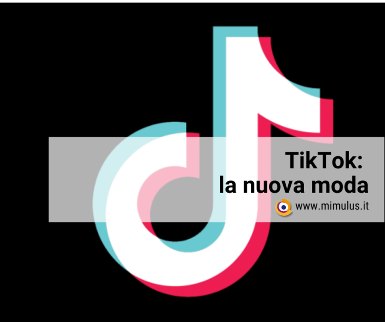 Tik Tok: la nuova moda